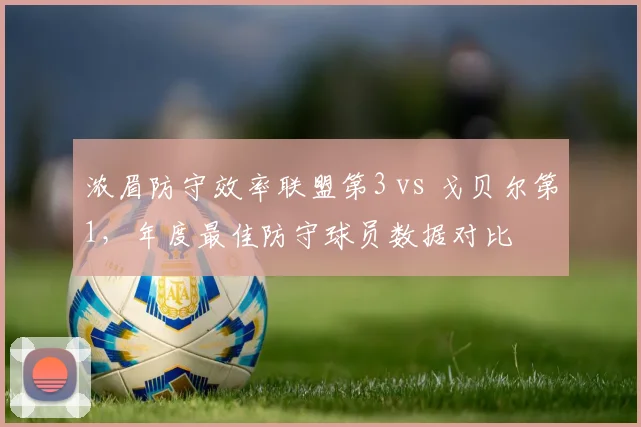浓眉防守效率联盟第3 vs 戈贝尔第1，年度最佳防守球员数据对比